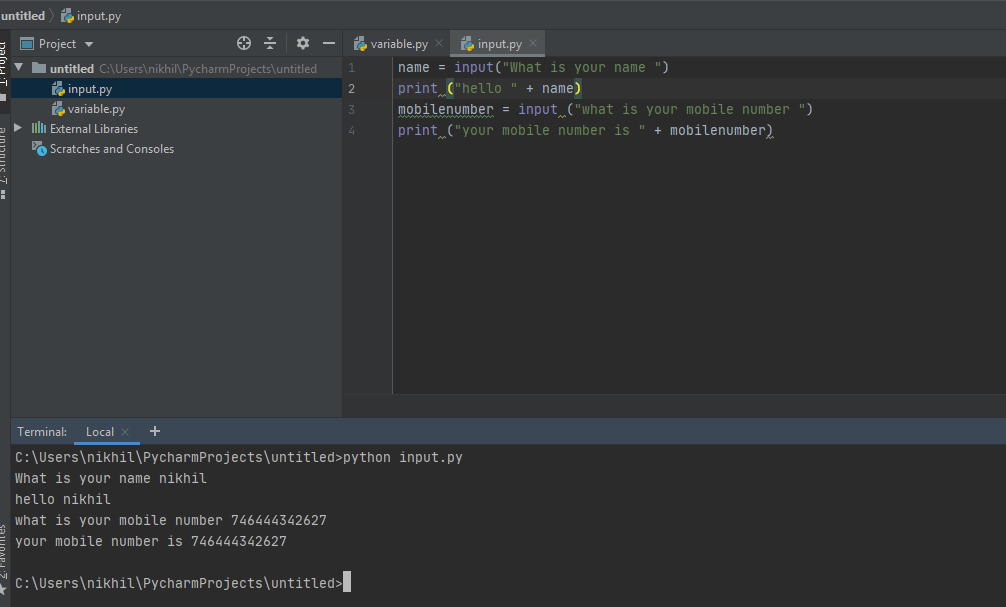 Input Python