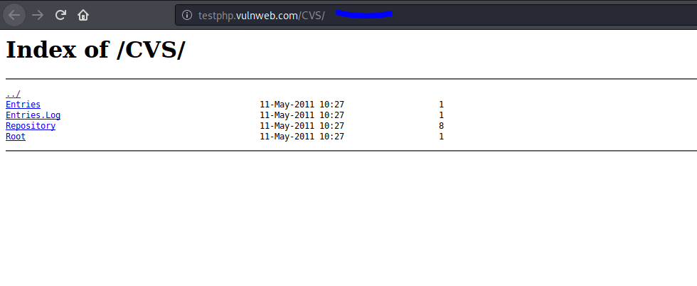 Find Hidden Directories