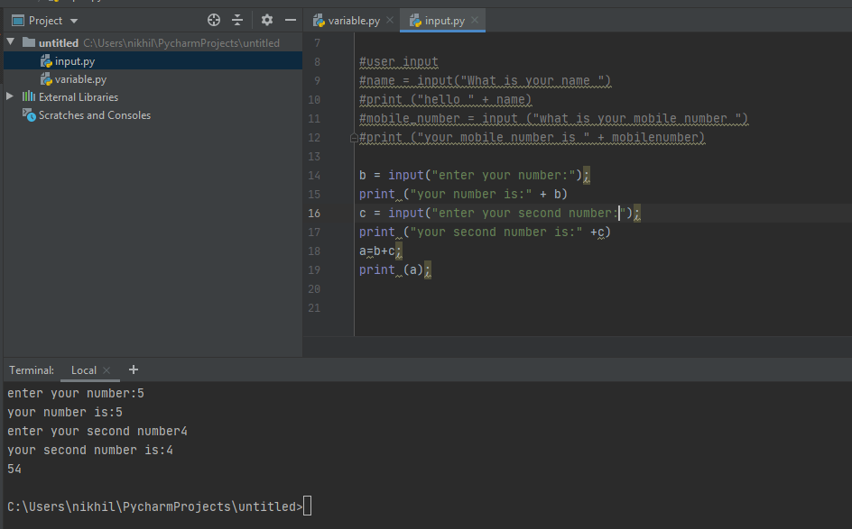 Input Python