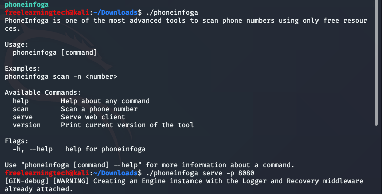Phone Number Information