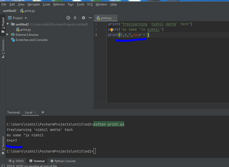 Print Function Python