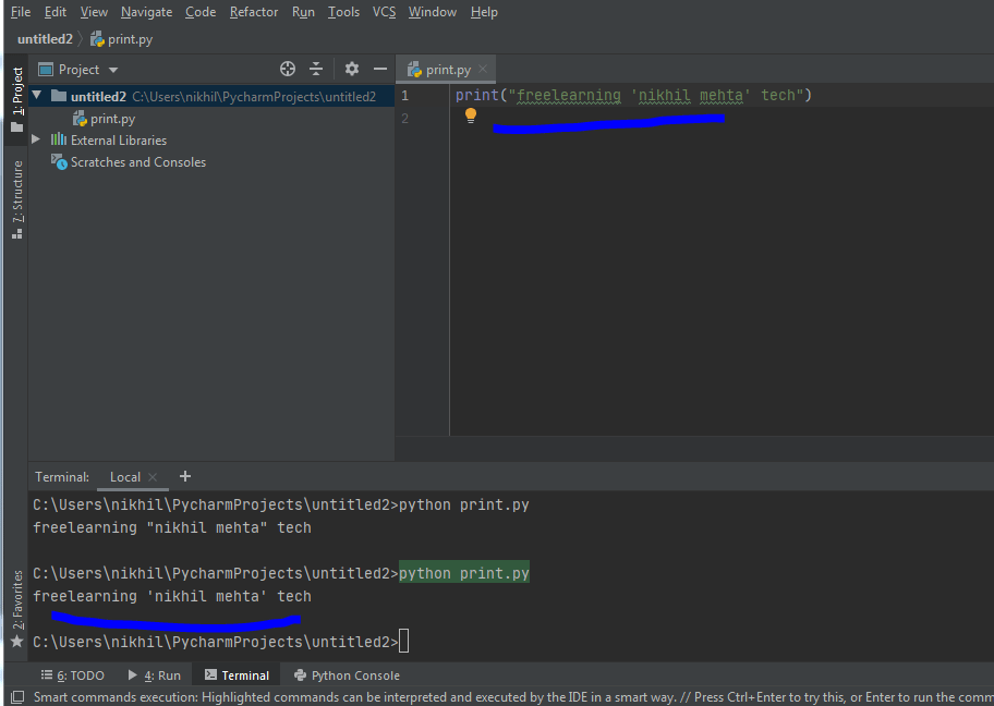 Print Function Python