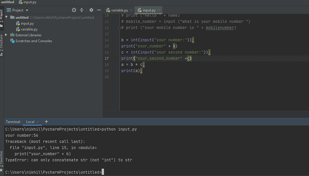Input Python