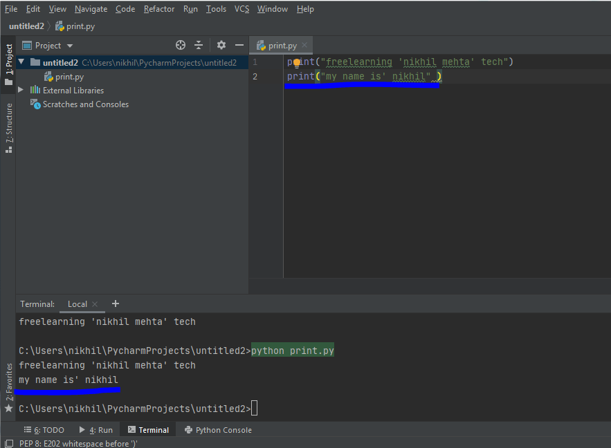 Print Function Python